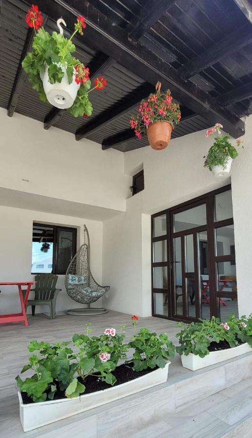 Hotel Casa Domneasca Giurgiu Zewnętrze zdjęcie